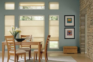 Cellular Honeycomb Shades