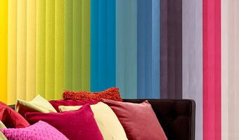 Coloured Window Blinds