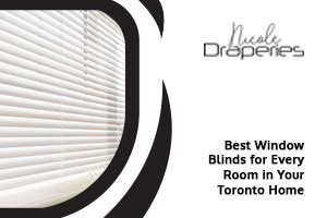 Window Blinds